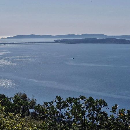 Appartement Cosy Vue Mer A 50 M De La Plage - Refait A Neuf Et Climatise Le Pradet Εξωτερικό φωτογραφία