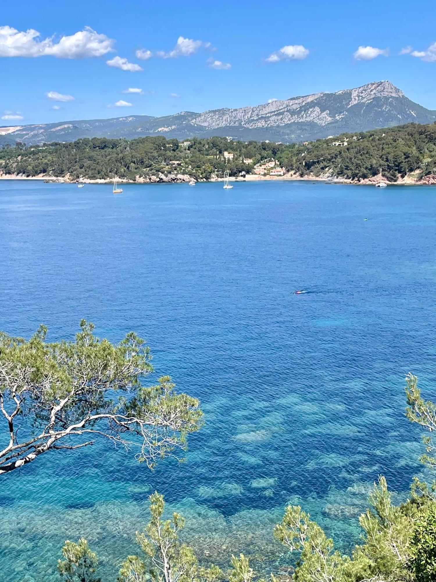 Appartement Cosy Vue Mer A 50 M De La Plage - Refait A Neuf Et Climatise Le Pradet Εξωτερικό φωτογραφία