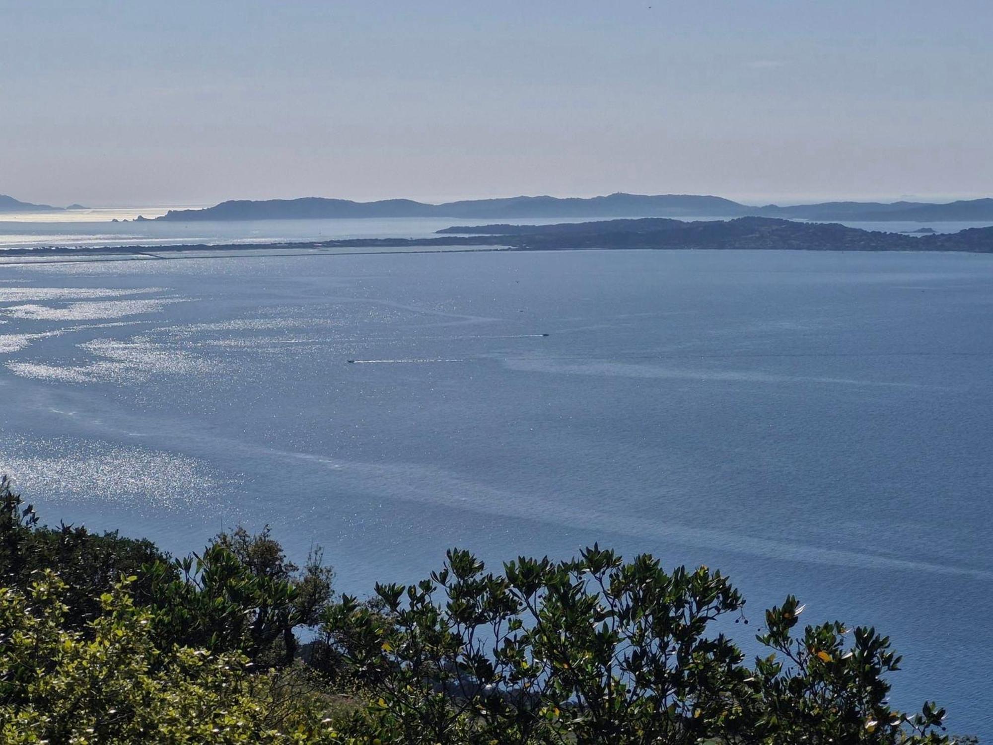 Appartement Cosy Vue Mer A 50 M De La Plage - Refait A Neuf Et Climatise Le Pradet Εξωτερικό φωτογραφία
