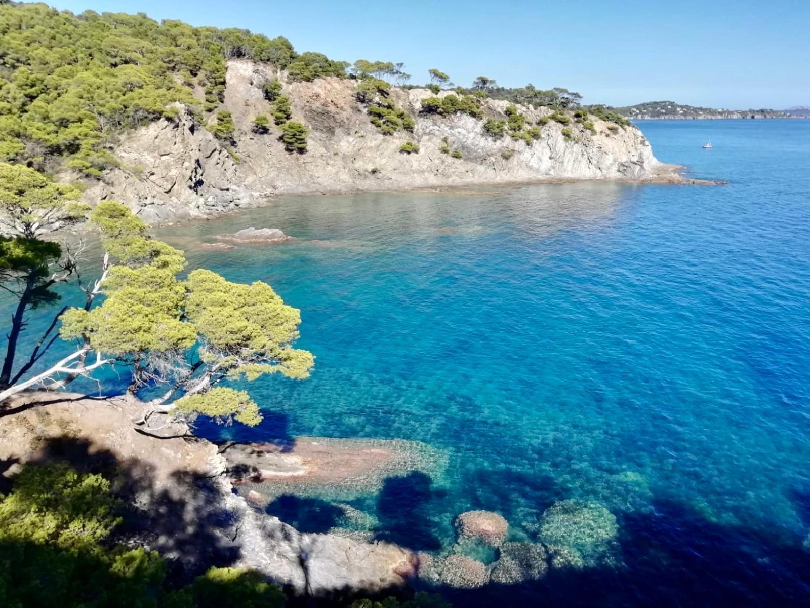 Appartement Cosy Vue Mer A 50 M De La Plage - Refait A Neuf Et Climatise Le Pradet Εξωτερικό φωτογραφία